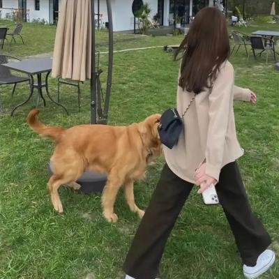 理查德的东西